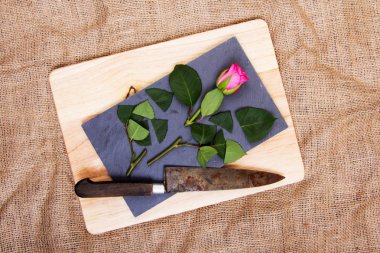 Kayrak parçası üzerinde gül kesip