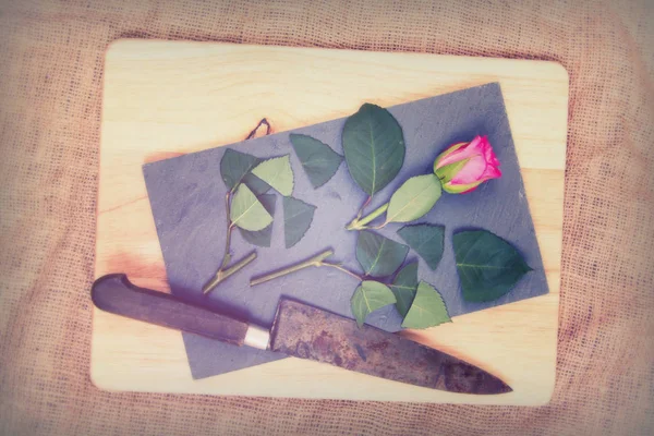 Rose cut up on piece of slate