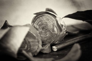 Kayrak parçası üzerinde gül kesip