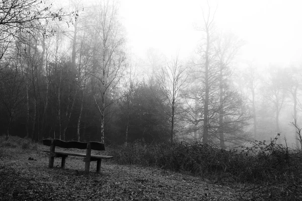 Banc en forêt par une matinée brumeuse brumeuse — Photo
