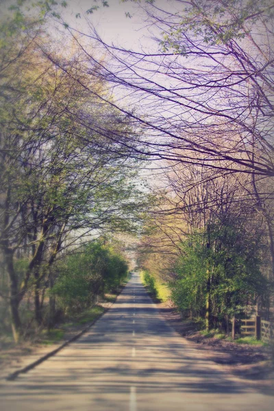 İngilizce kırsal yoluyla oldukça yol ülke — Stok fotoğraf