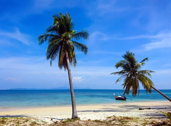 Kokosová Palma Pláži Koh Bulone Satun Thajsko — Stock fotografie