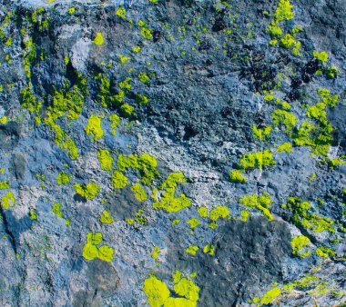 Doku ahşap kuvvetler soyut