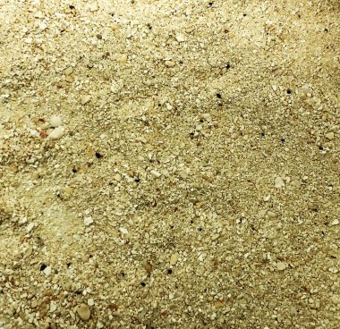 kum plaj doku güneşli tatil seyahat kavramı