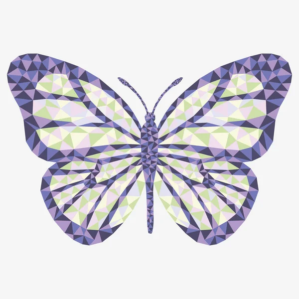 Vector isolated butterfly. — Stock Vector