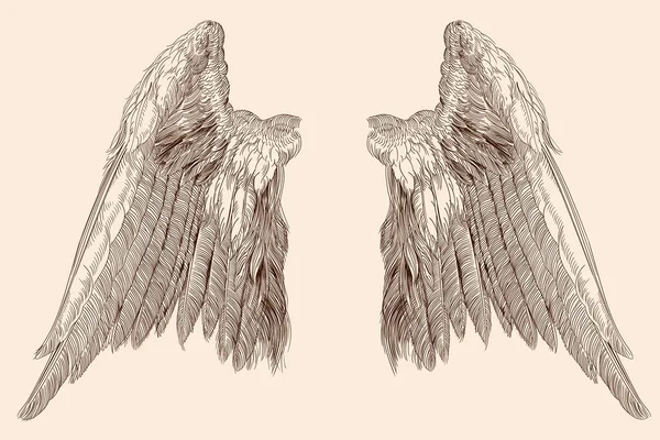 Two wings of an angel. — Stock Vector