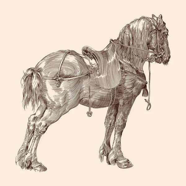 Лошадь с седлом . — стоковый вектор