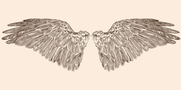 Dwa skrzydła anioła. — Wektor stockowy