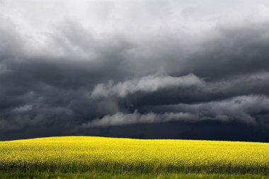 fırtına bulutları saskatchewan