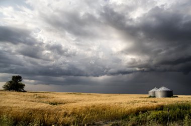fırtına bulutları saskatchewan