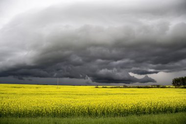 fırtına bulutları saskatchewan