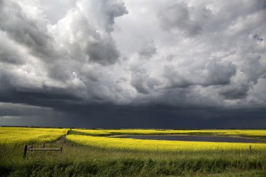 fırtına bulutları saskatchewan