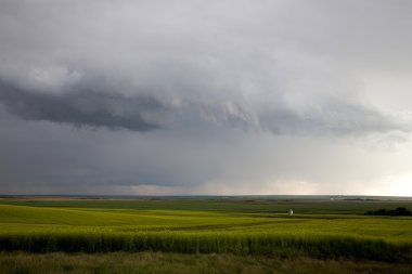 fırtına bulutları saskatchewan