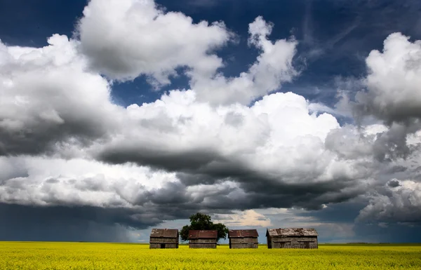 Sturmwolken saskatchewan — Stockfoto