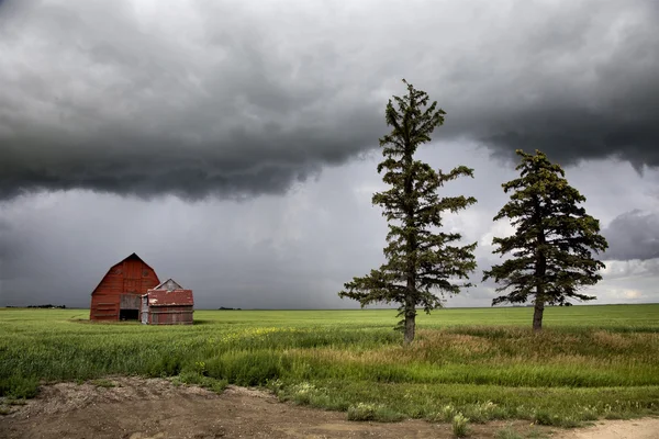 Nuvens de tempestade Saskatchewan — Fotografia de Stock