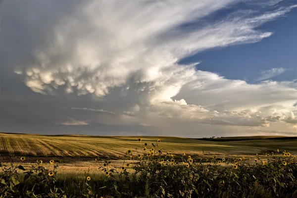 Nuvens de tempestade Saskatchewan — Fotografia de Stock