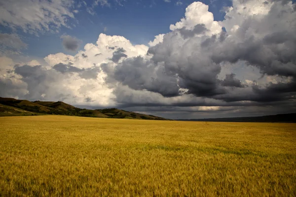 Nuages de tempête Saskatchewan — Photo