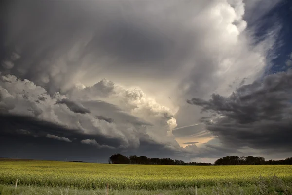 Storm wolken saskatchewan — Stockfoto