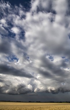 fırtına bulutları saskatchewan