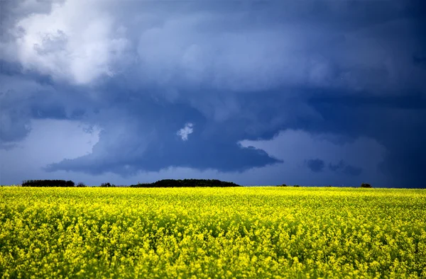 Storm wolken saskatchewan — Stockfoto