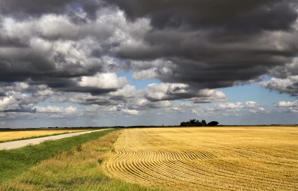 Storm moln saskatchewan — Stockfoto