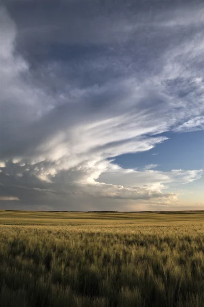 Bouřková mračna saskatchewan — Stock fotografie