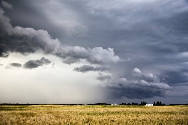 fırtına bulutları saskatchewan