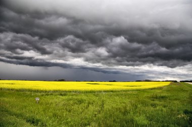 fırtına bulutları saskatchewan