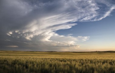 fırtına bulutları saskatchewan