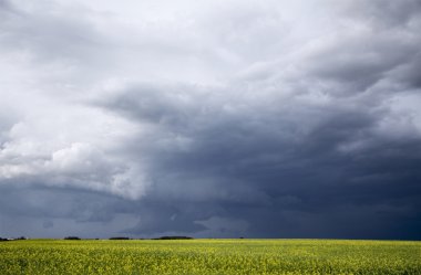 fırtına bulutları saskatchewan