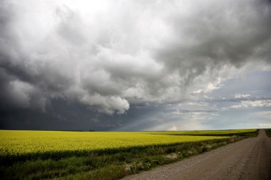 fırtına bulutları saskatchewan