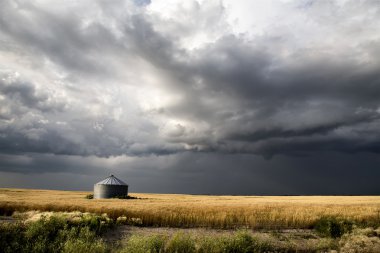 fırtına bulutları saskatchewan