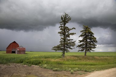 fırtına bulutları saskatchewan