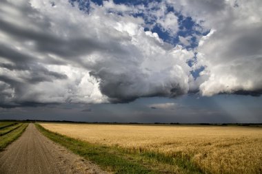 fırtına bulutları saskatchewan