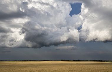 fırtına bulutları saskatchewan