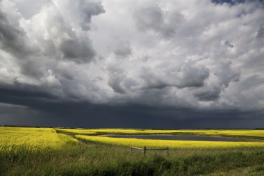 fırtına bulutları saskatchewan