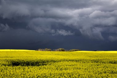 fırtına bulutları saskatchewan
