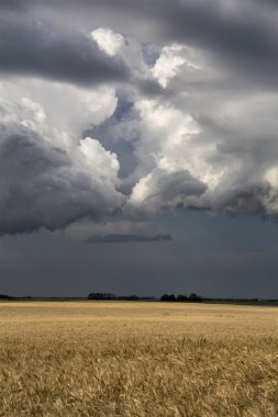 fırtına bulutları saskatchewan