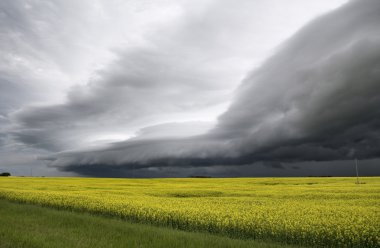 fırtına bulutları saskatchewan