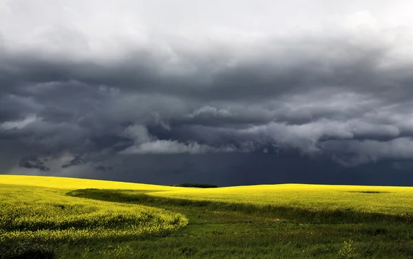 Nuvens de tempestade Saskatchewan — Fotografia de Stock