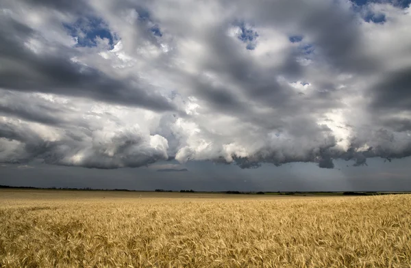 Nuvens de tempestade Saskatchewan — Fotografia de Stock