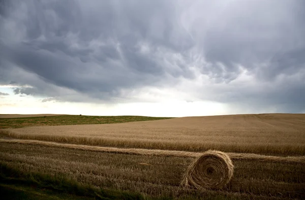 Myrskypilvet Saskatchewan — kuvapankkivalokuva