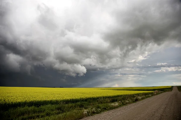 Burzowe chmury saskatchewan — Zdjęcie stockowe