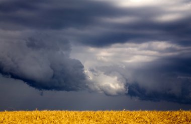 fırtına bulutları saskatchewan