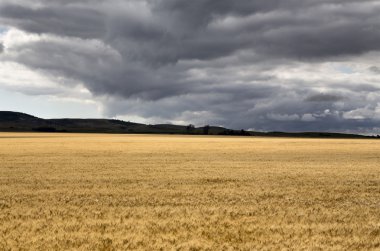 fırtına bulutları saskatchewan