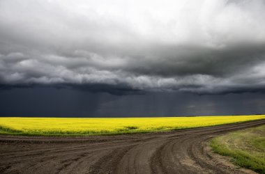 fırtına bulutları saskatchewan