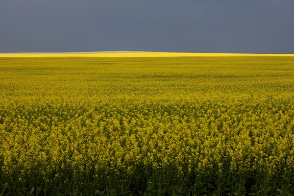 Nubes de tormenta Saskatchewan — Foto de Stock