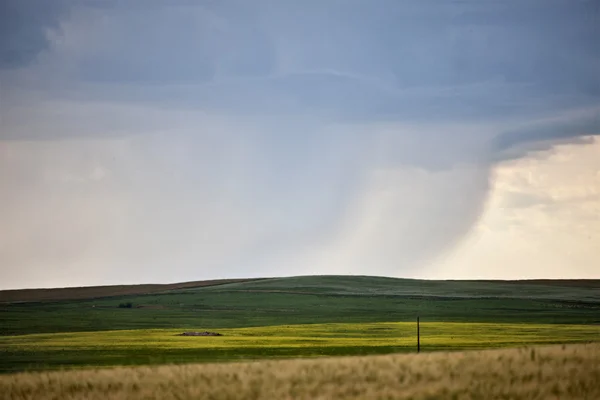 Viharfelhők Saskatchewan — Stock Fotó