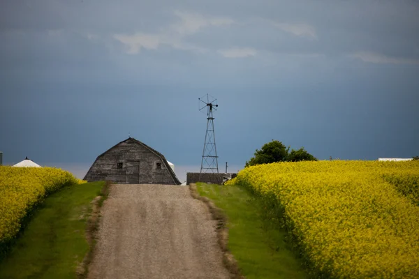 Viharfelhők Saskatchewan — Stock Fotó