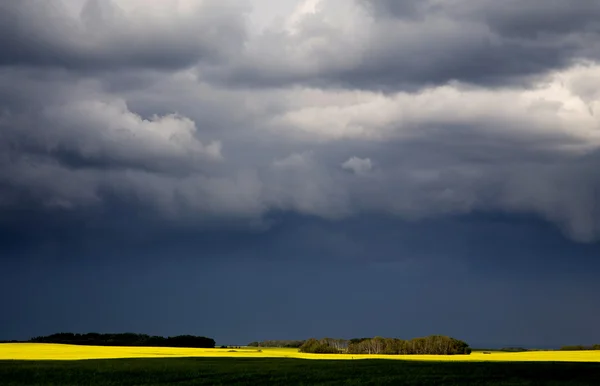 Nubes de tormenta Saskatchewan —  Fotos de Stock